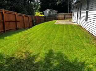 Janie B.'s grass maintenance service result
