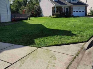 Tamika B.'s lawn care service result