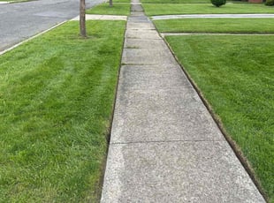 Donna P.'s turf maintenance service result