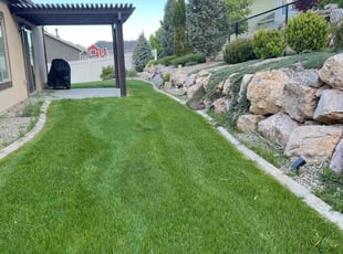 Ainsley Z.'s lawn care services service result