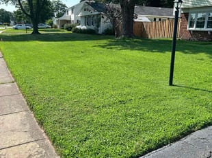 Justine L.'s grass cutting service result