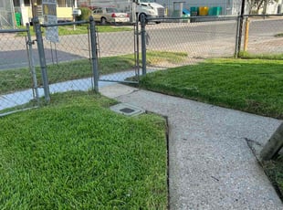 Mikael H.'s turf maintenance service result
