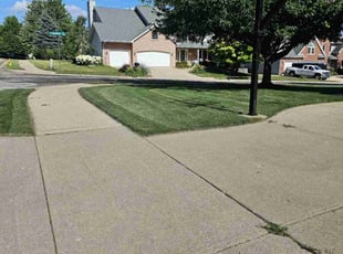 Debbie T.'s grass cutting service result