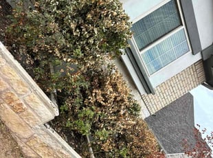 James H.'s Bush Trimming service result