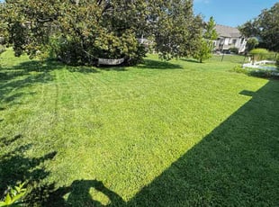 Octavia P.'s lawn maintenance service result
