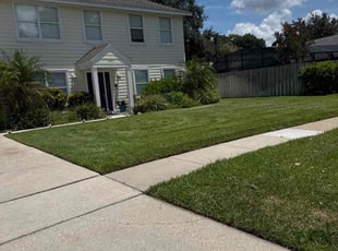 Mindy M.'s turf maintenance service result