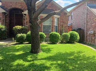 May B.'s lawn maintenance service result