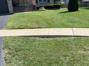 Clifton D.'s lawn maintenance service result