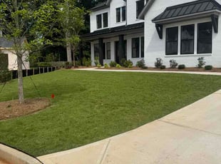 Nafeesa M.'s lawn maintenance service result