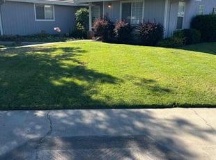 Bre F.'s turf care service result