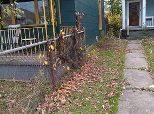 Joseph D.'s Bush Trimming service result
