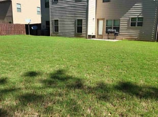 Asberry R.'s lawn care services service result
