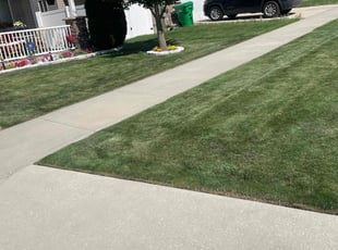 Karen H.'s turf care service result