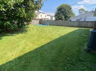 Jordan G.'s turf maintenance service result