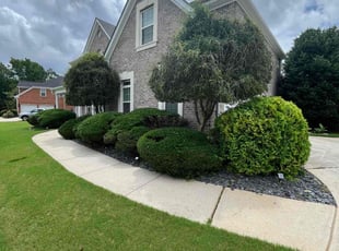Tracy A.'s Bush Trimming service result