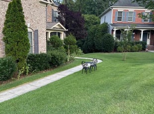 Emily M.'s turf maintenance service result