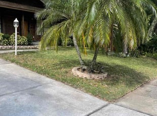 Andrea S.'s Leaf Removal service result