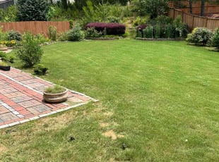 Natalie G.'s grass cutting service result