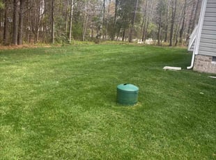 Angela B.'s turf care service result
