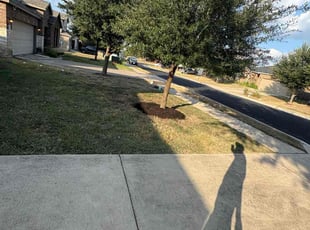 Corley S.'s Tree Trimming service result