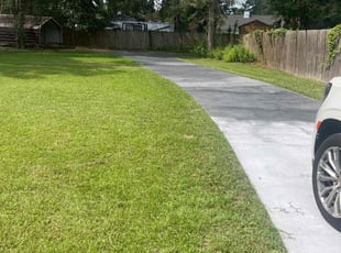 Jeannette I.'s turf maintenance service result