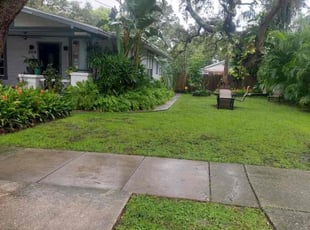 Maryna G.'s lawn service service result