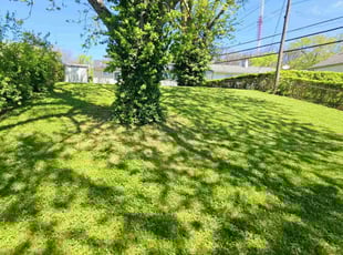 Aderah S.'s grass maintenance service result