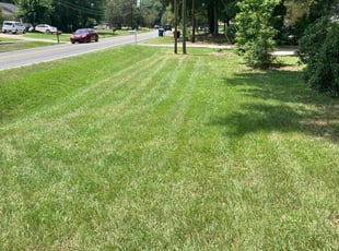 Tamara W.'s landscaping service result