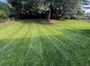 Gail W.'s lawn care service result