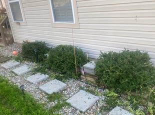 Joseph G.'s Bush Trimming service result