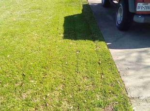 Ella R.'s grass maintenance service result