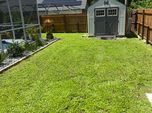 Mary W.'s turf care service result
