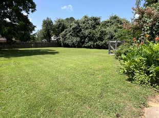 Anthony G.'s turf care service result