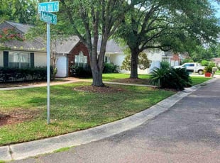 Susan C.'s lawn service service result