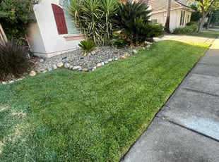 John M.'s lawn care services service result