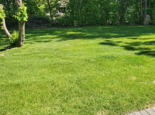 Karla P.'s yard service service result