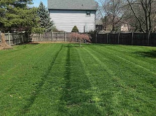 Wendy M.'s yard service service result