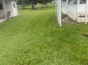 Darlene S.'s lawn service service result