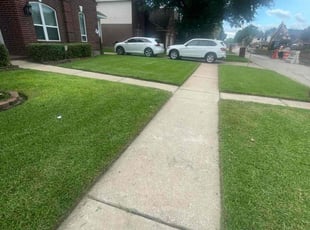 Derek A.'s grass maintenance service result