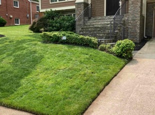 Chelsey H.'s turf maintenance service result
