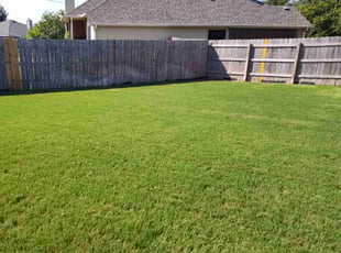 Corinna M.'s turf care service result