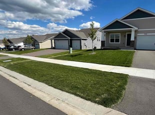 Beth A.'s turf care service result