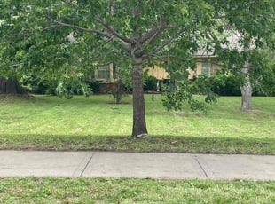 Garry F.'s grass maintenance service result