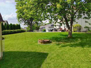 Steven S.'s grass maintenance service result
