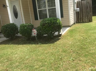 Gwen A.'s Bush Trimming service result