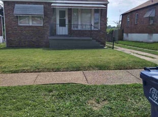 Jason A.'s grass cutting service result