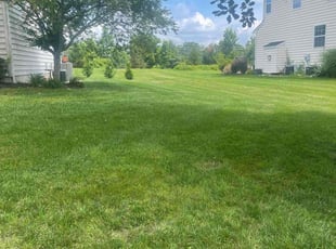 Sharon A.'s lawn care services service result