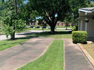 Larissa R.'s turf care service result
