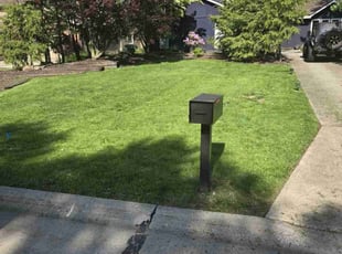 Brandi V.'s turf care service result