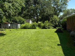 Michele H.'s turf care service result